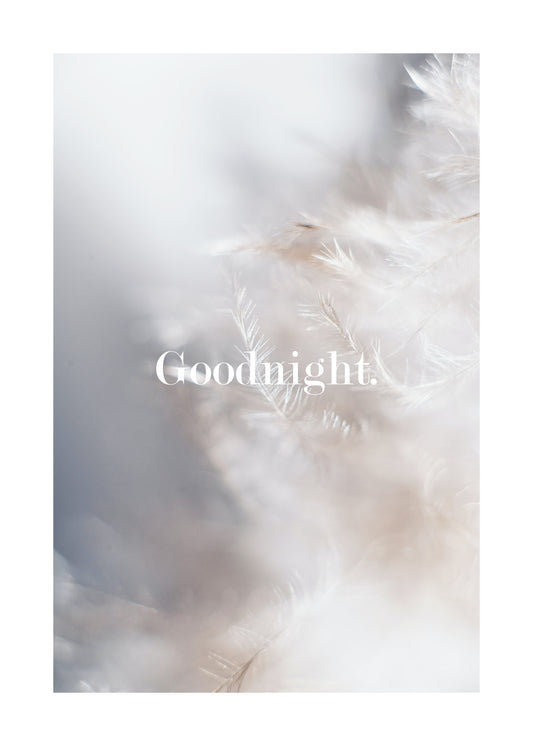Goodnight Feathers