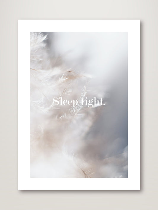 Sleep Tight Feathers