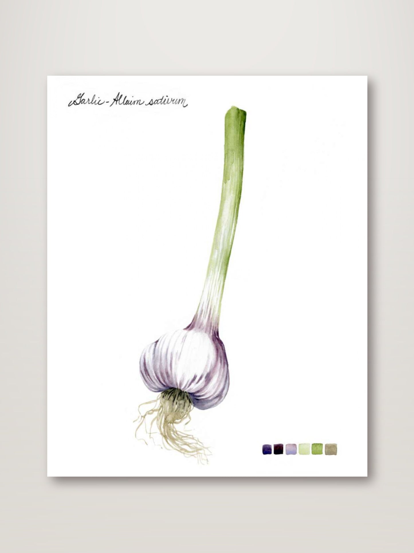 Root Vegetable I