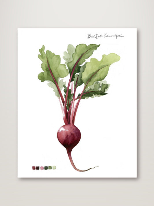 Root Vegetable II