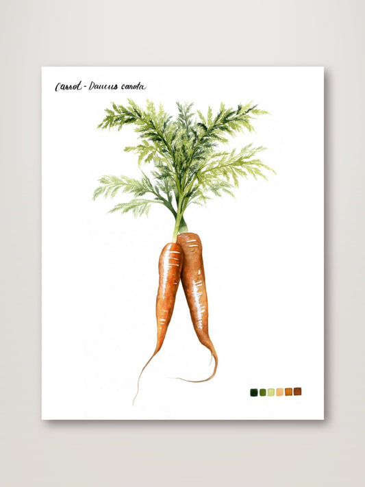 Root Vegetable III
