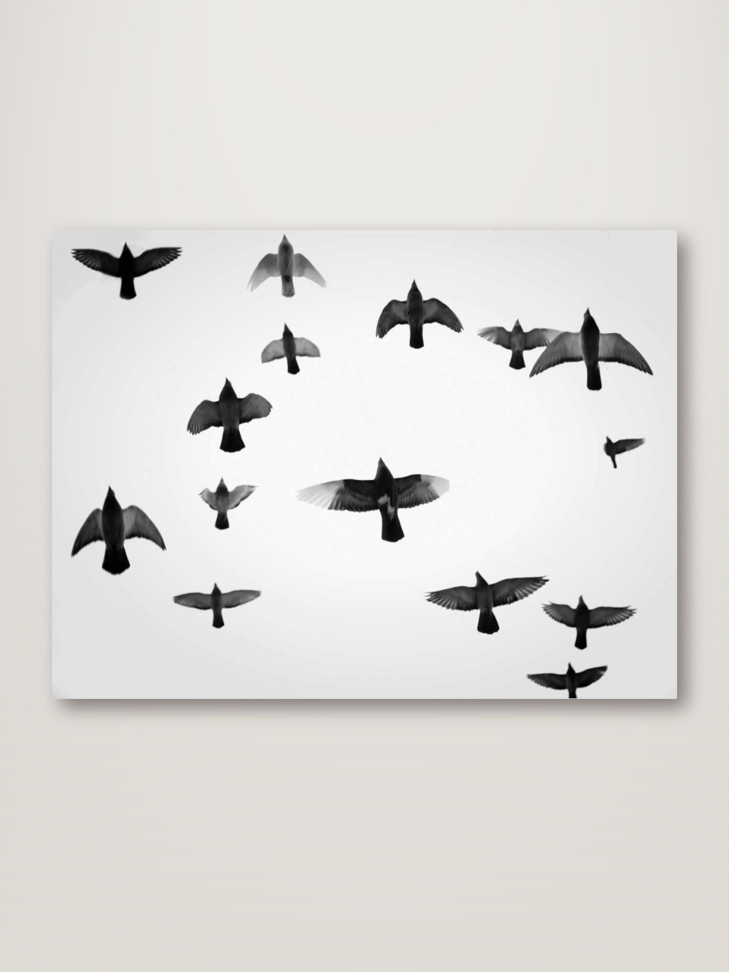 In the Skies I