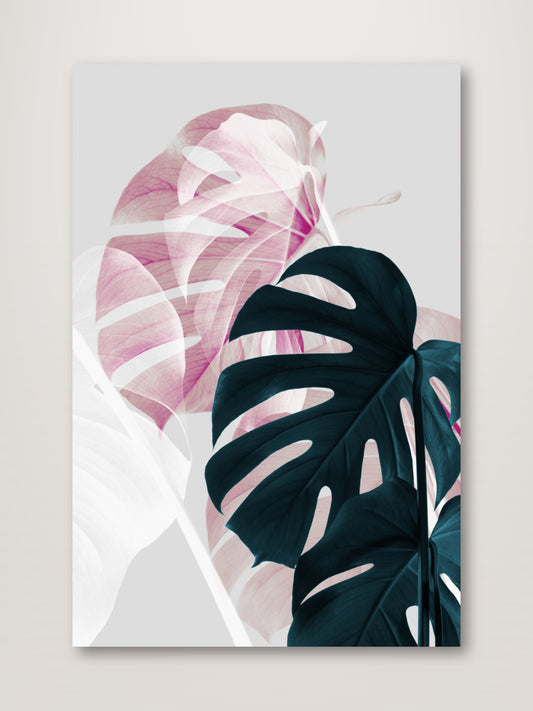 Monstera Creative 08