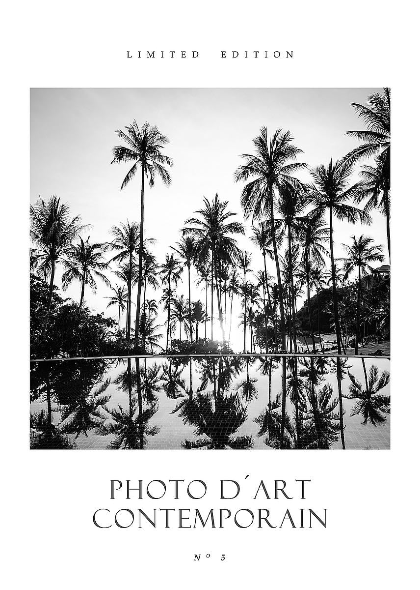 Photo D´Art No 5