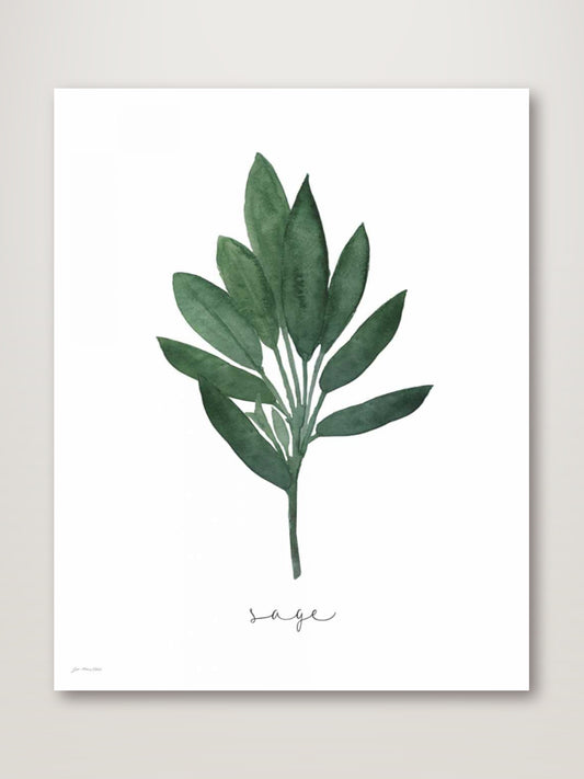 Sage