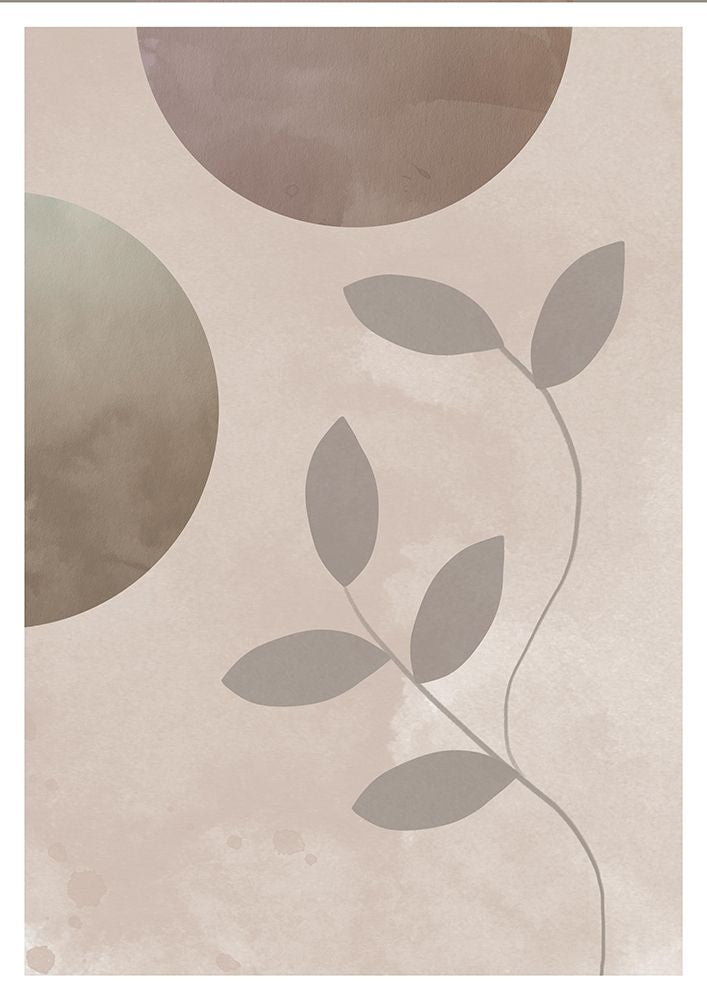 The Plant