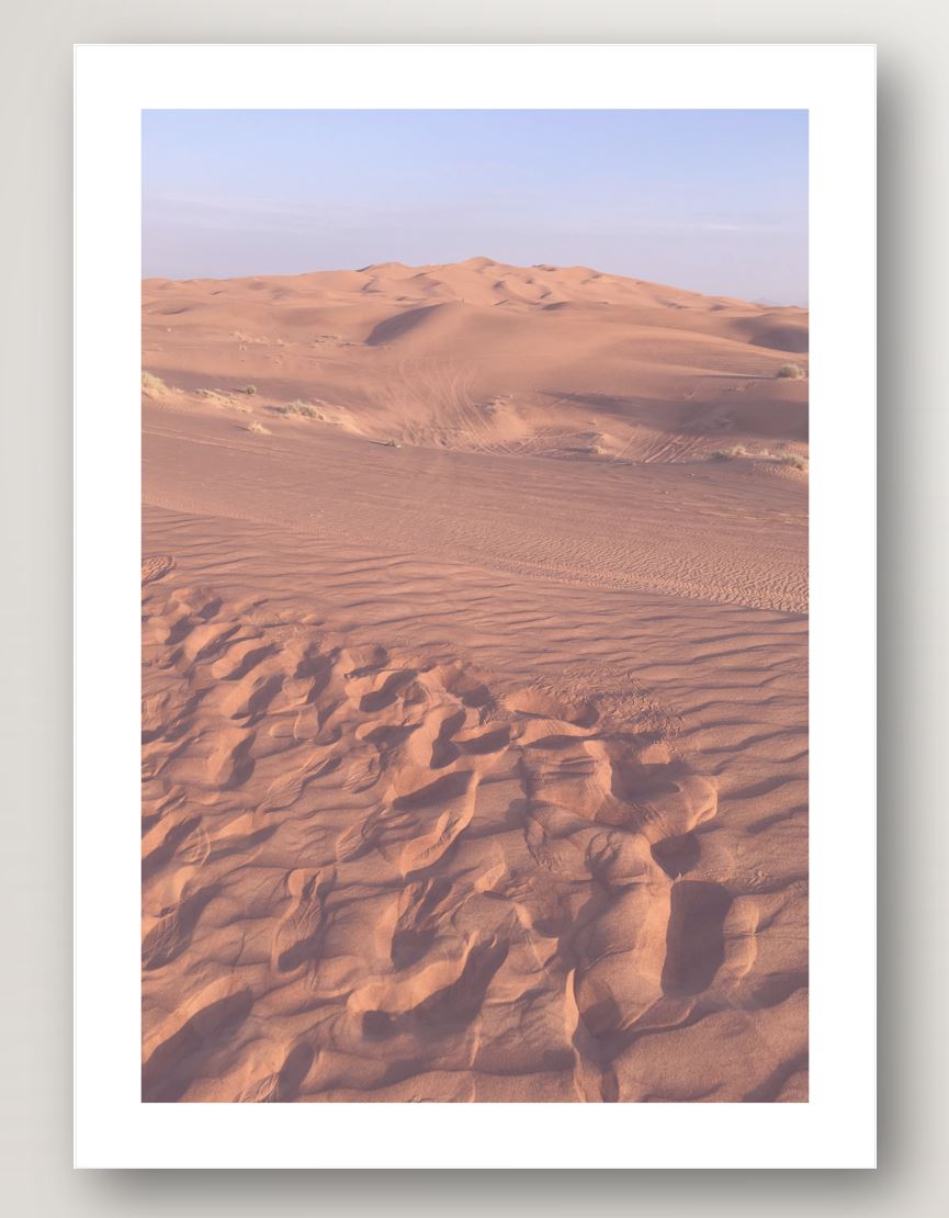 In the Dunes