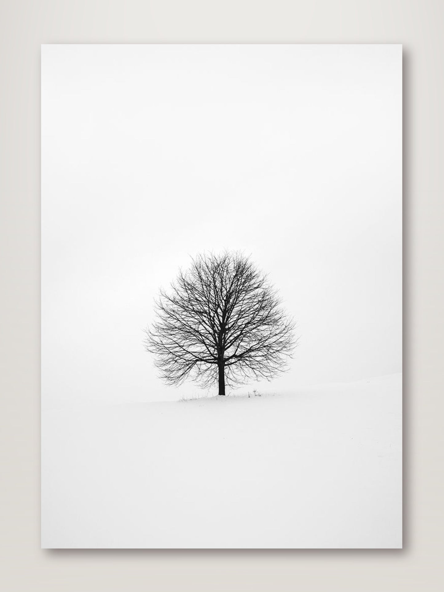 Solitary 1