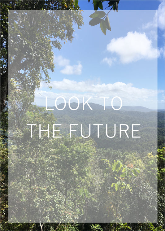 Look to the Future