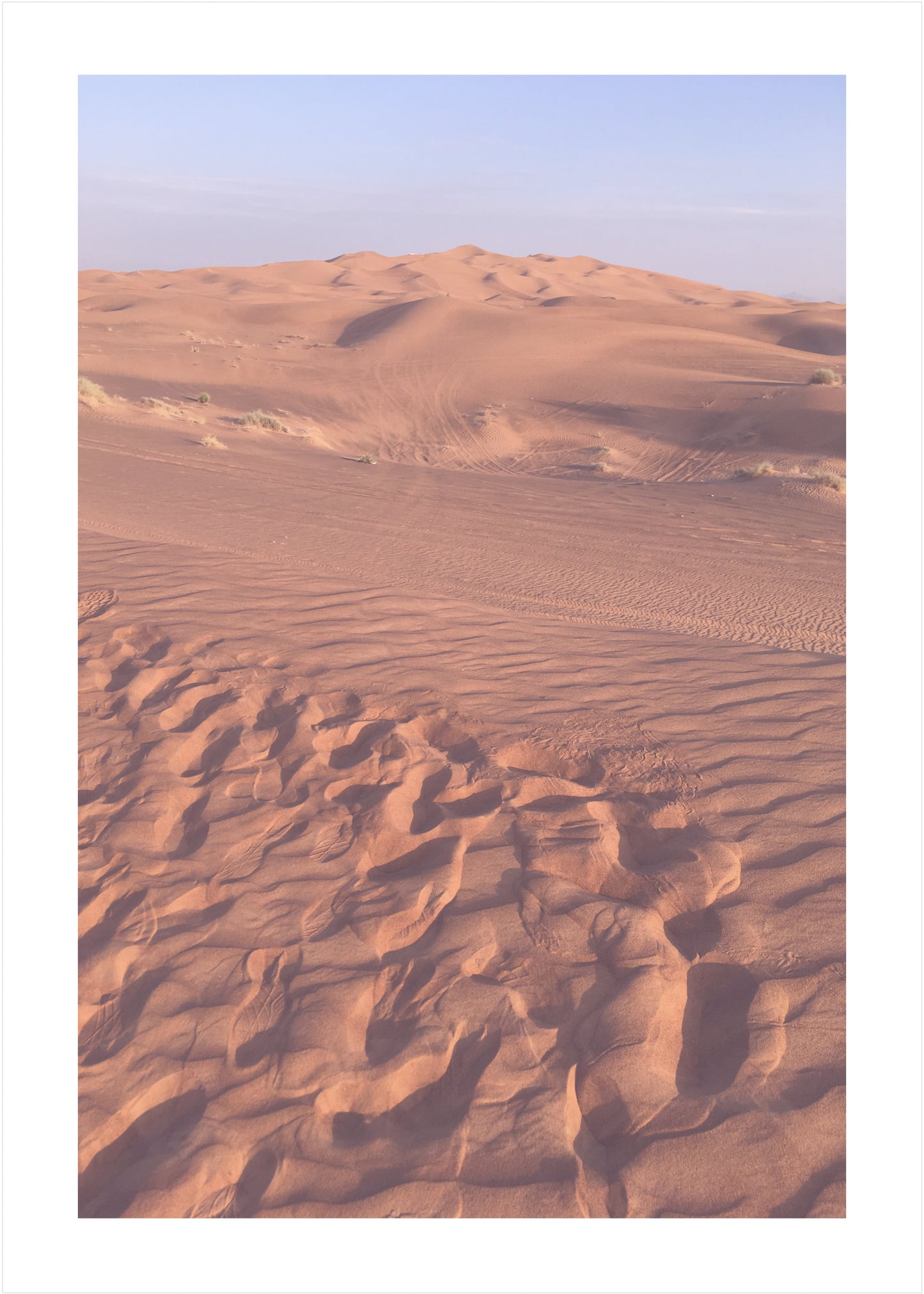 In the Dunes