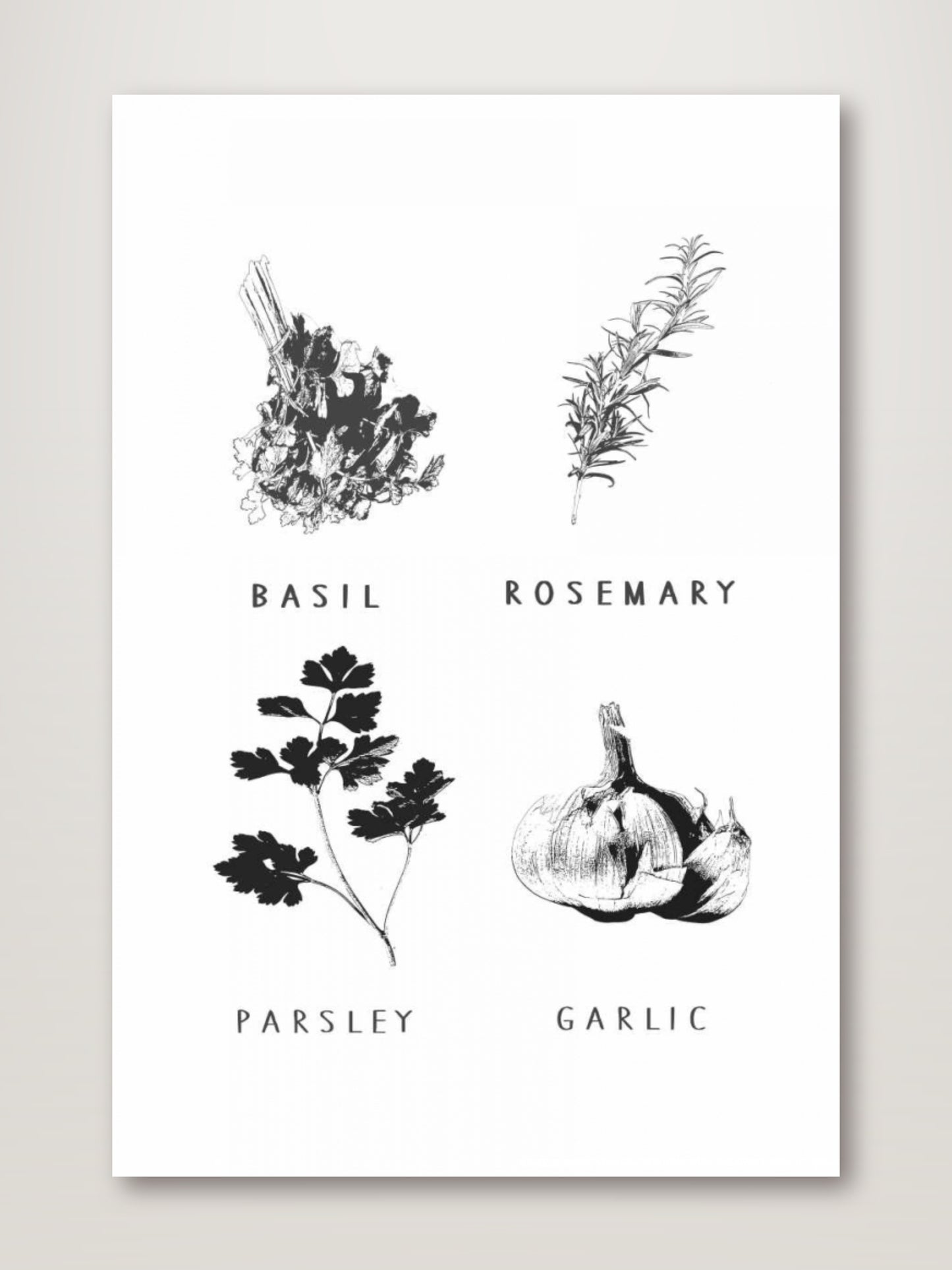 Kitchen Herbs