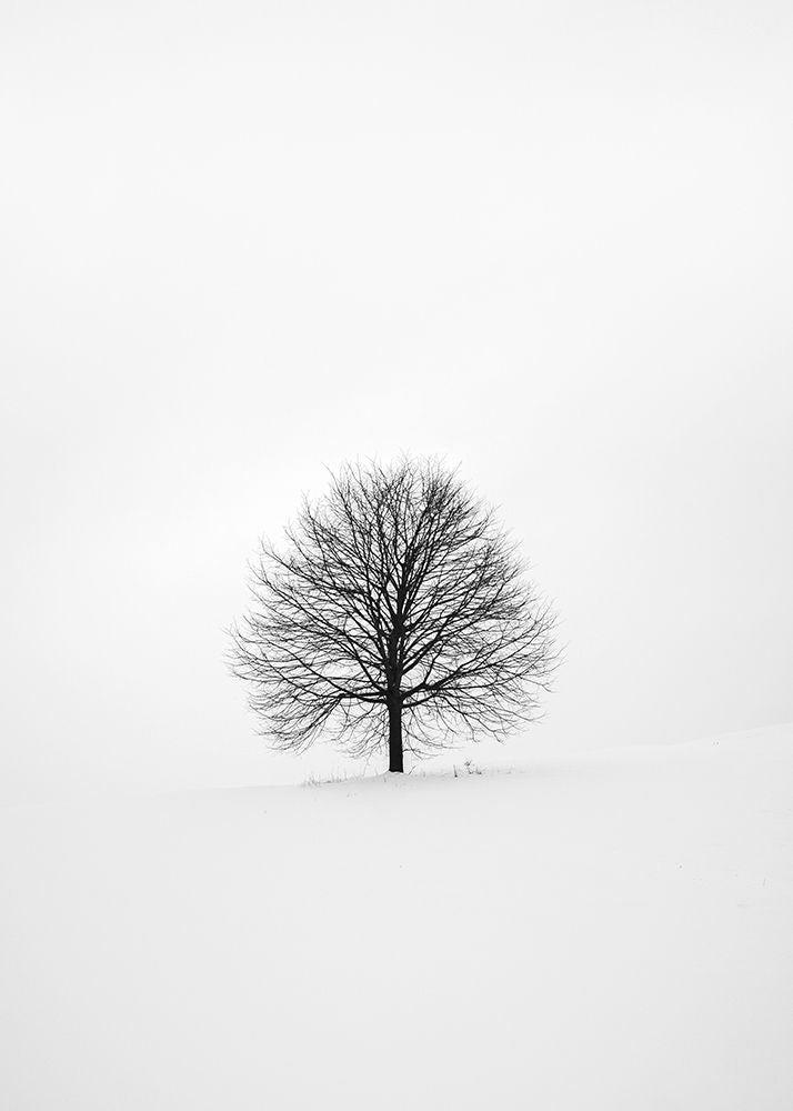 Solitary 1