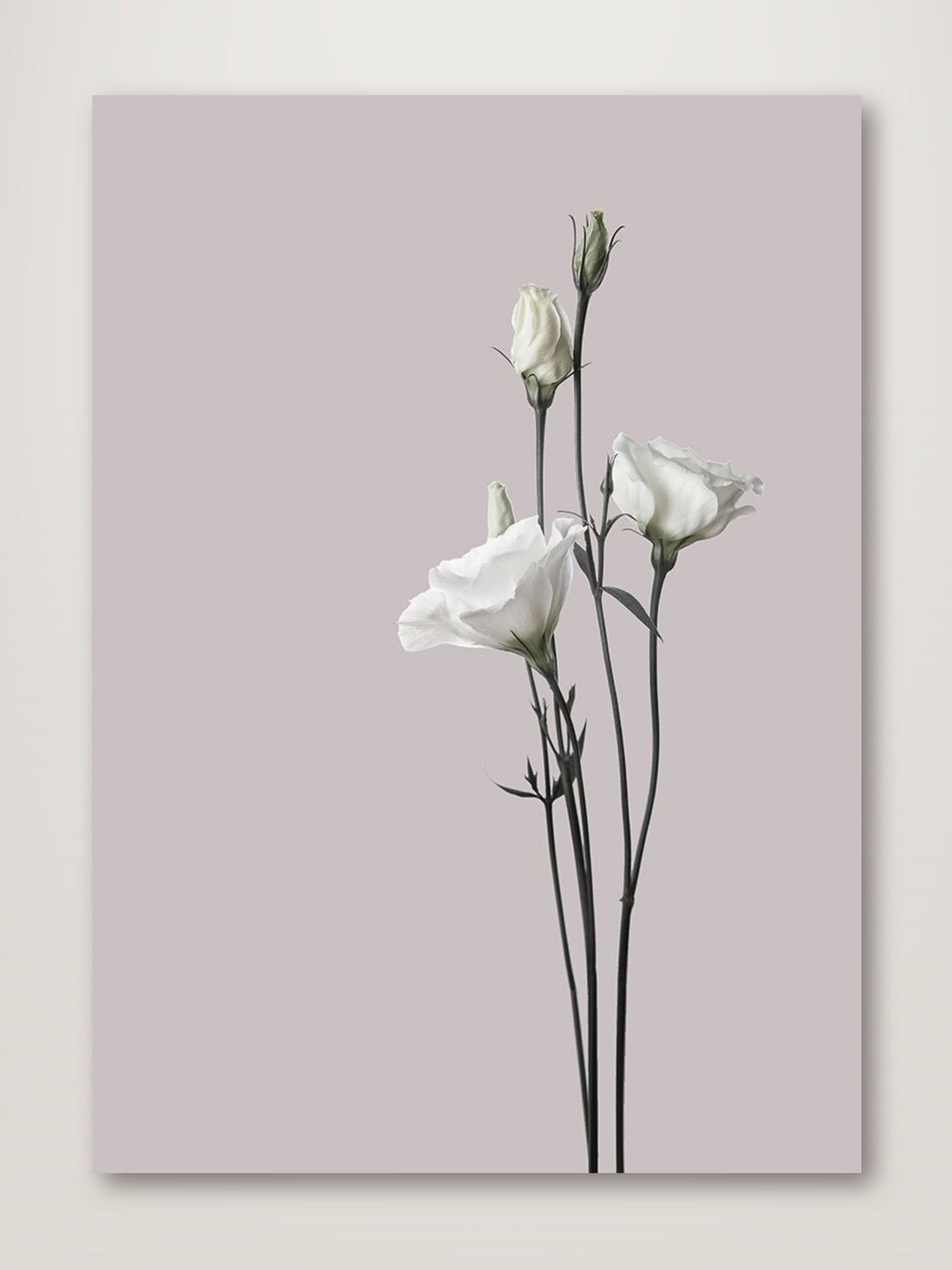 Flower 2