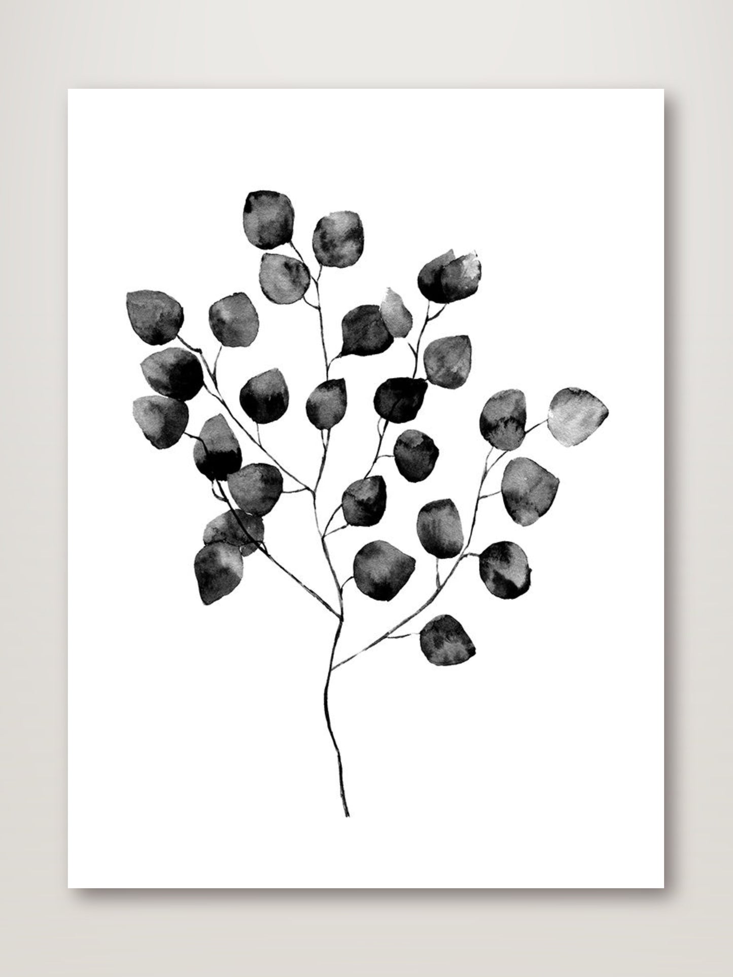 Silver Dollar Black