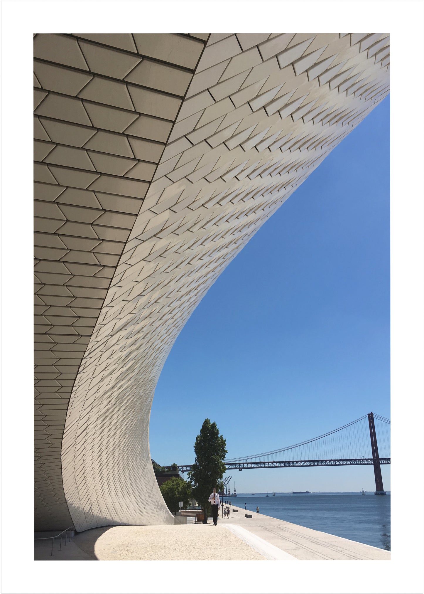 Lisboa Lines