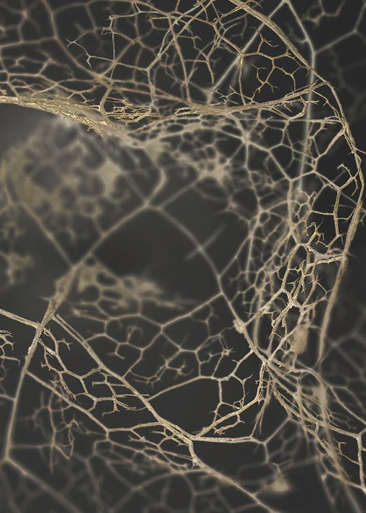 Leaf Skeleton Dark