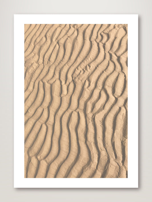 Ripples in the Sand