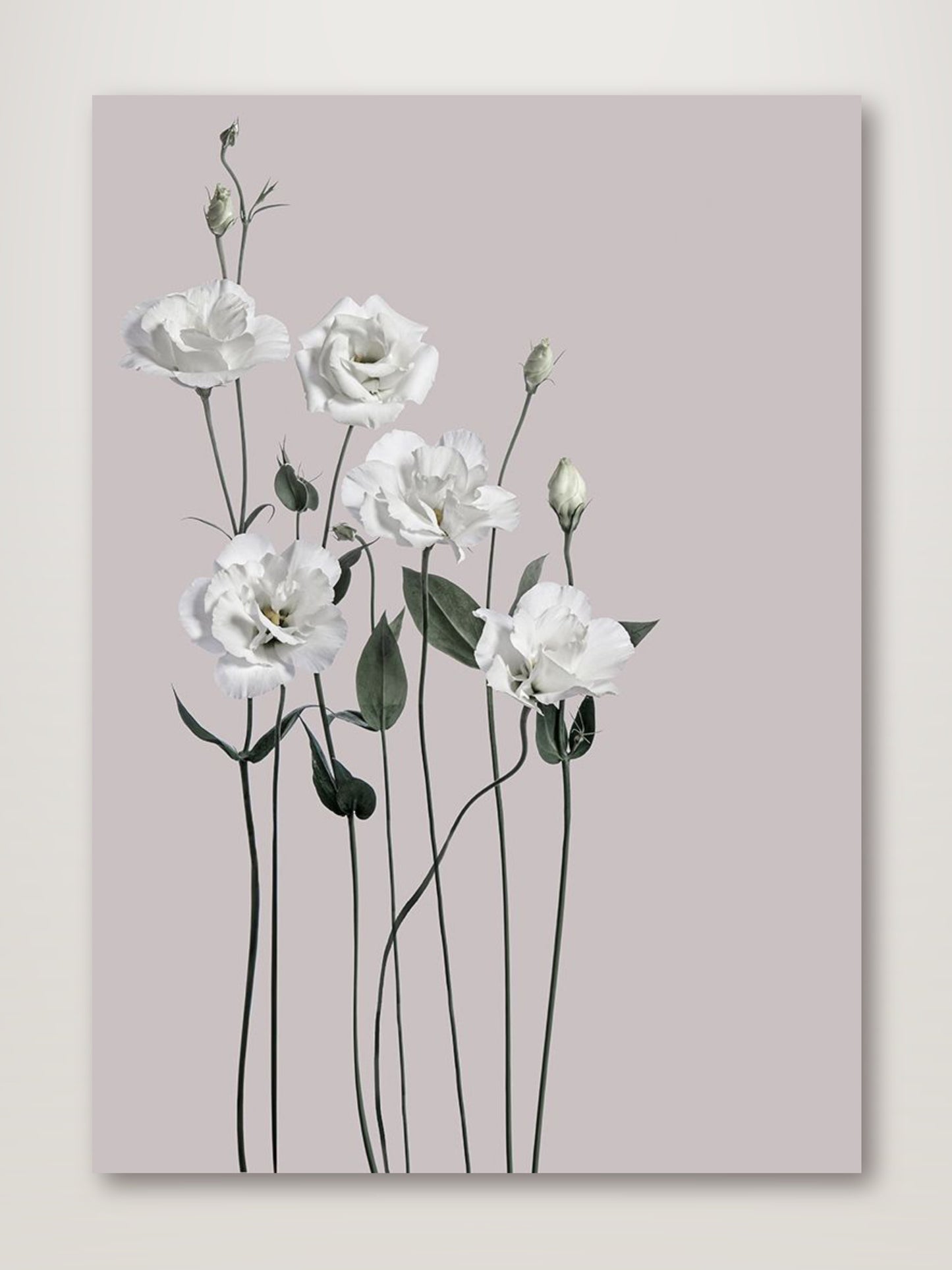 Flower 1