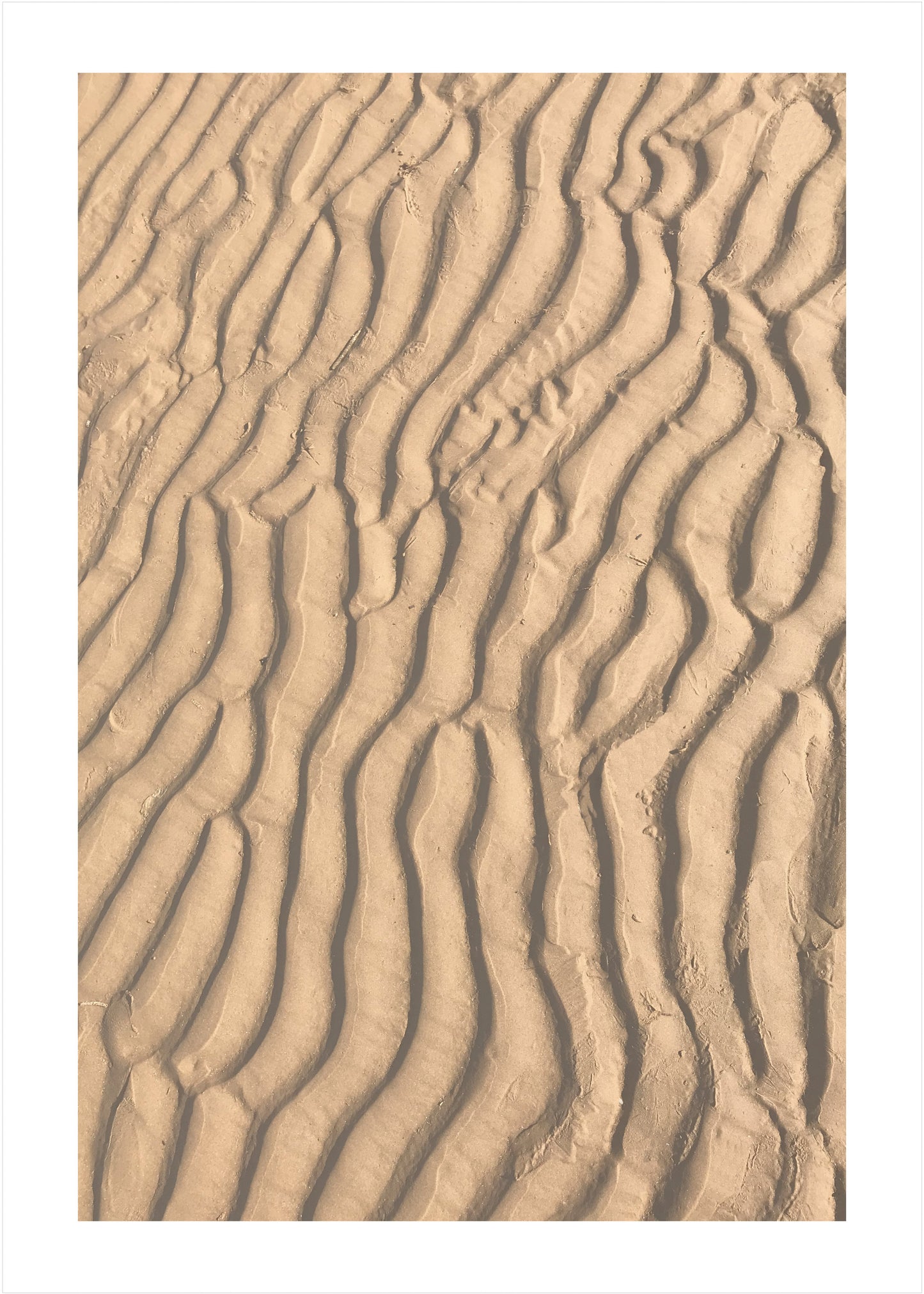 Ripples in the Sand