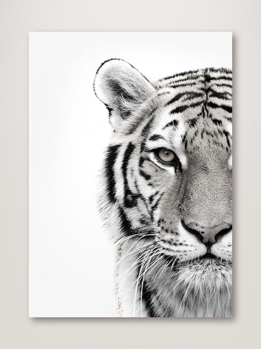 White Tiger