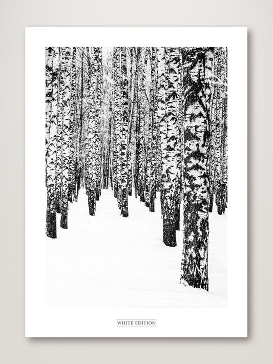 White Edition 2