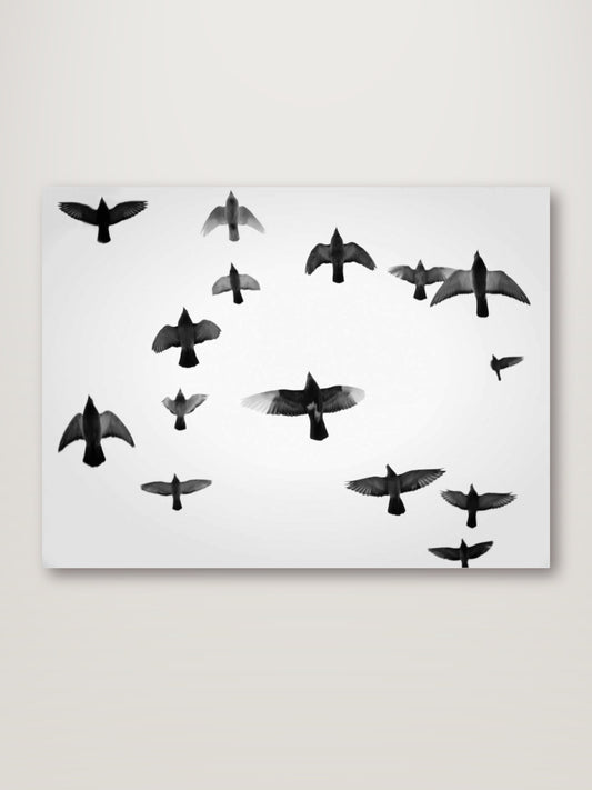In the Skies I