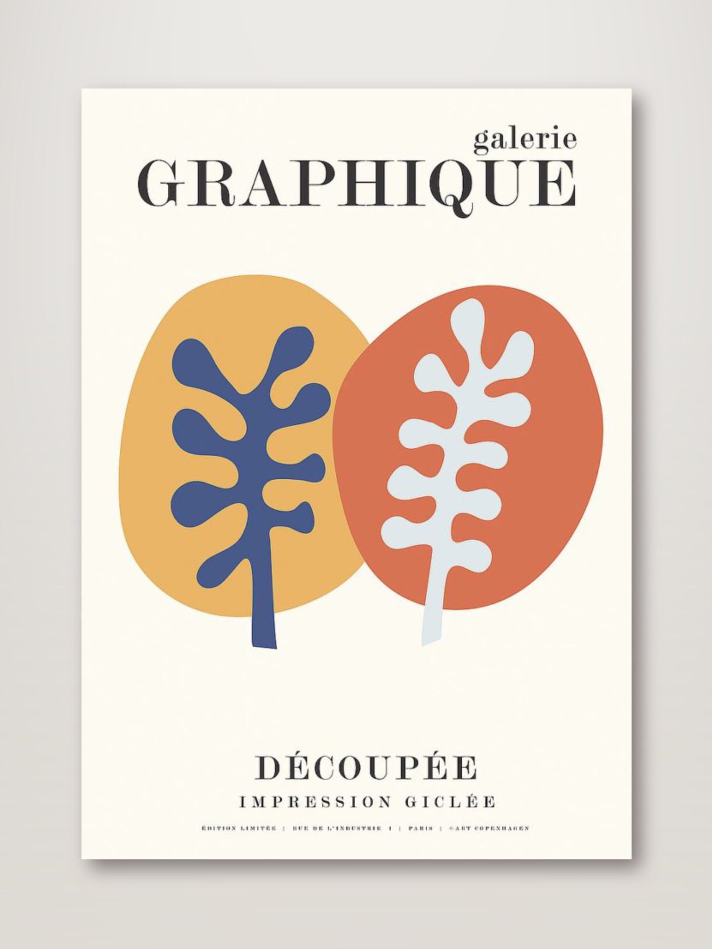 Graphique 8