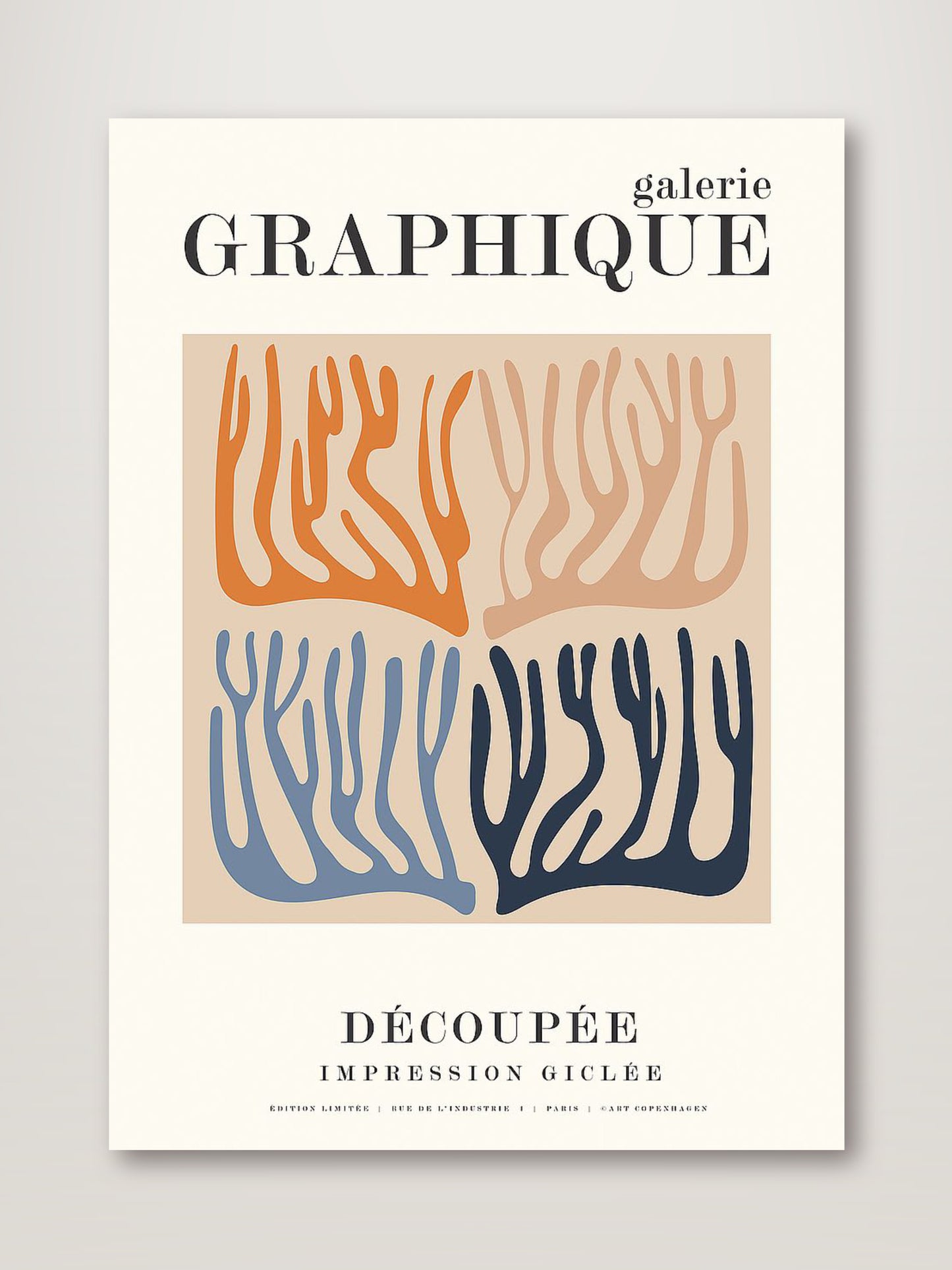 Graphique 11