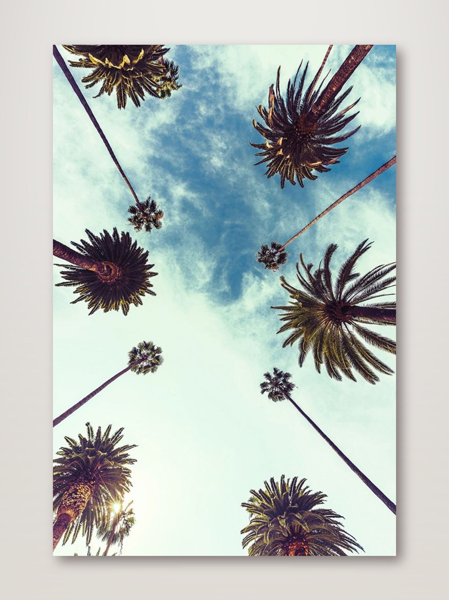 Palm Sky 2