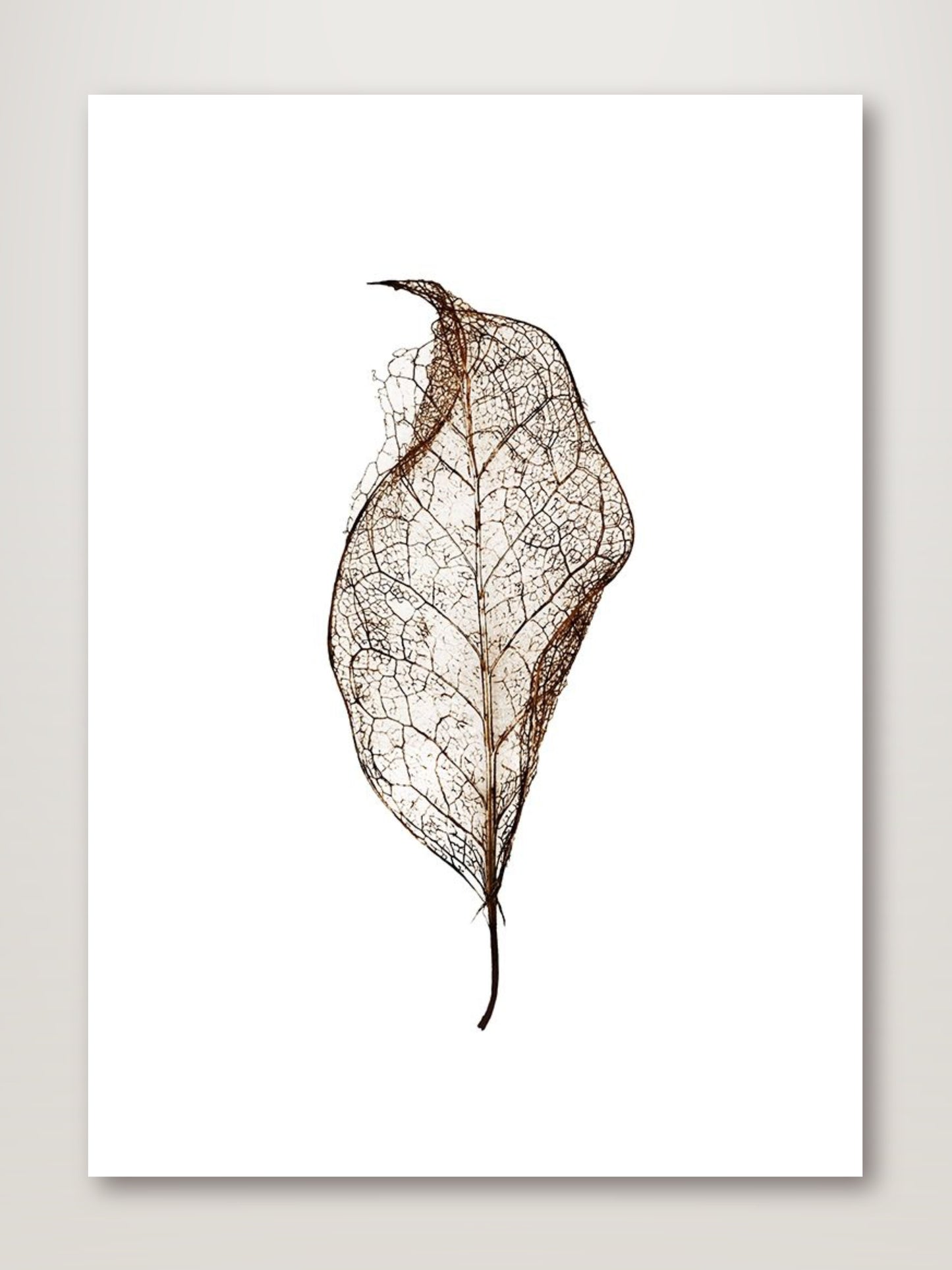 Leaf