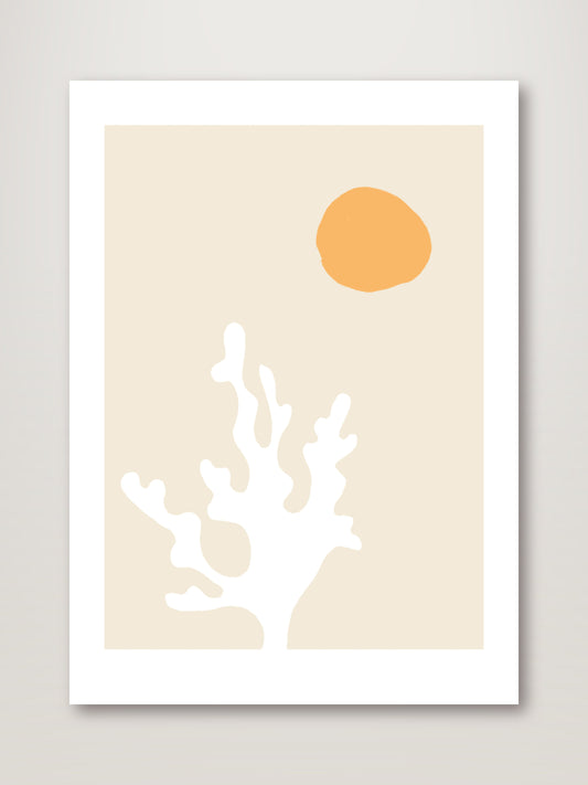Seaweed