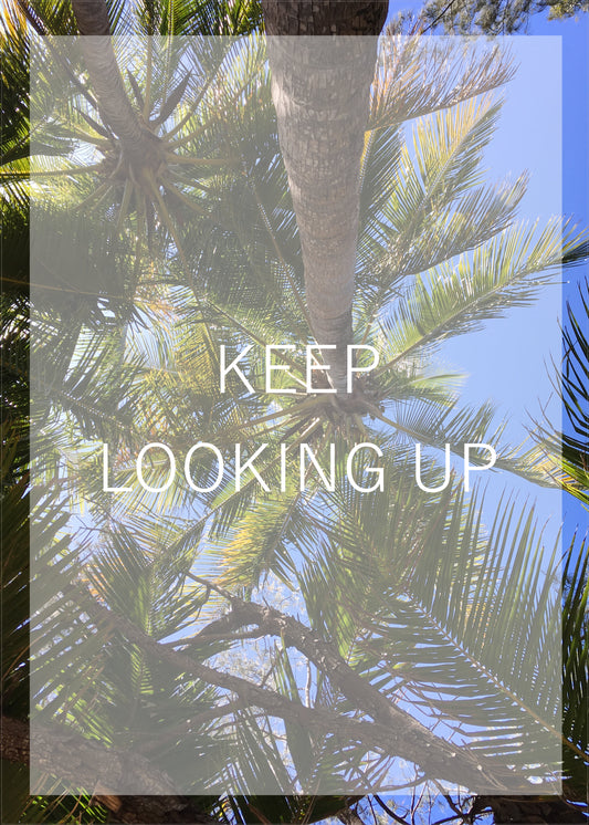Keep Looking Up