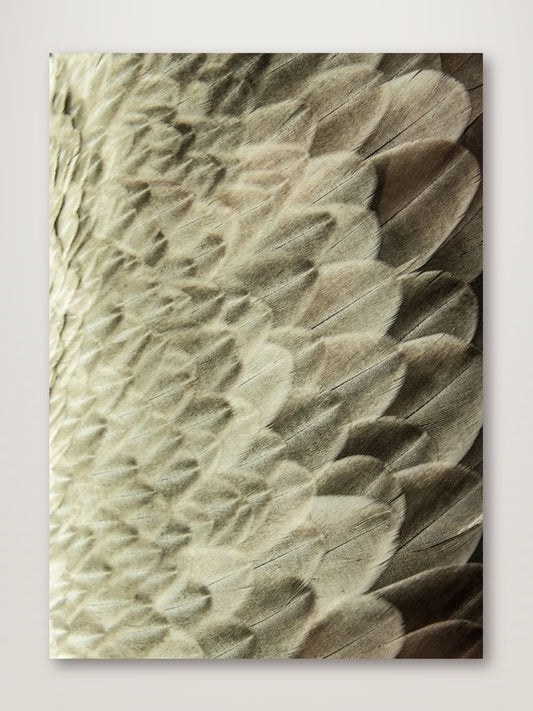 Volture II