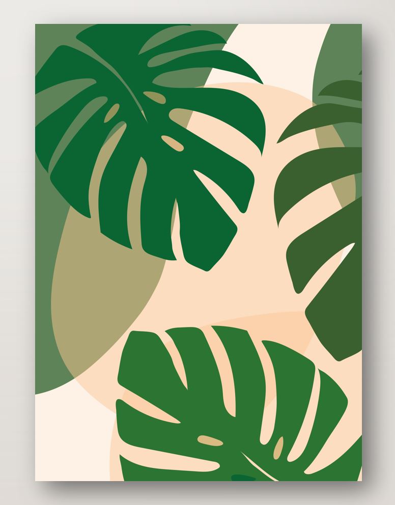 Monstera