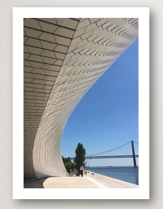 Lisboa Lines