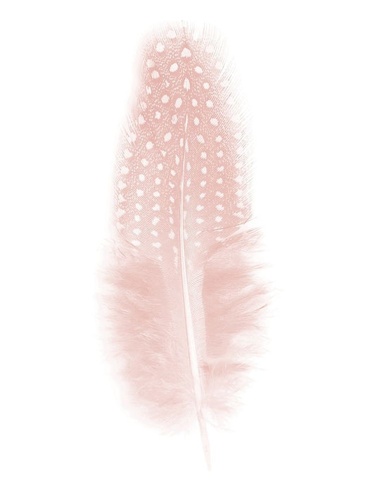 Quill Blush Poster