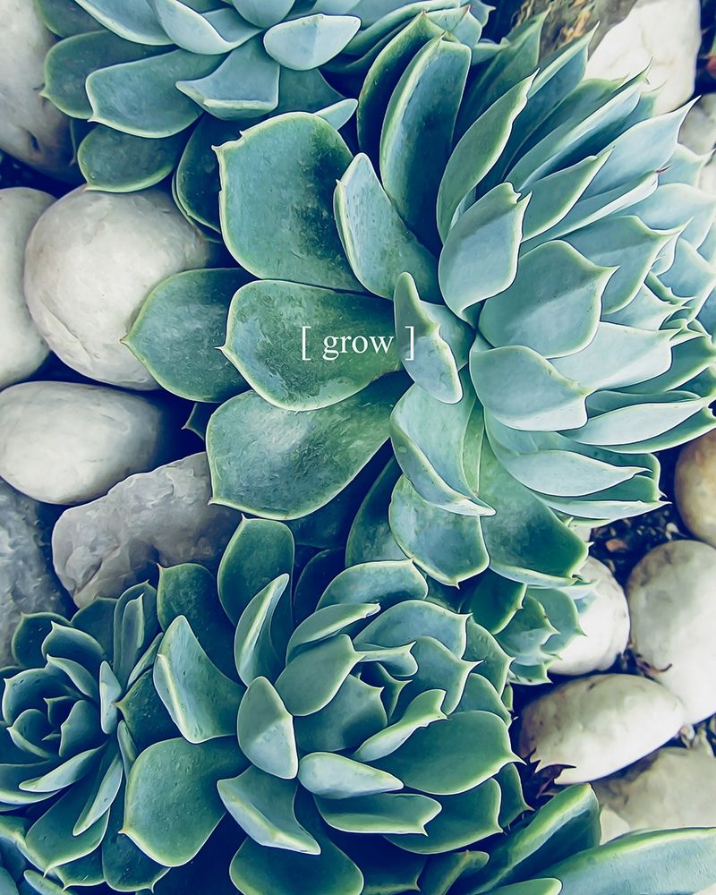 Grow Calm 2