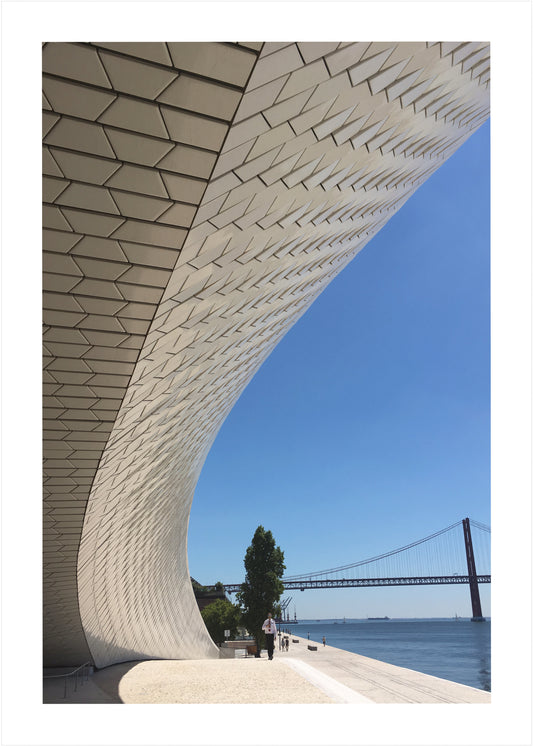 Lisboa Lines
