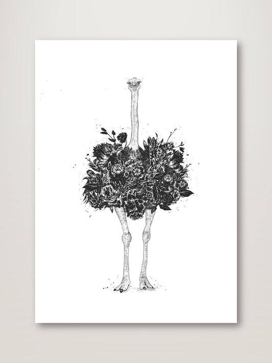 Floral Ostrich