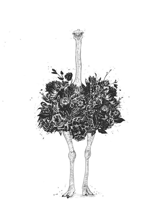 Floral Ostrich