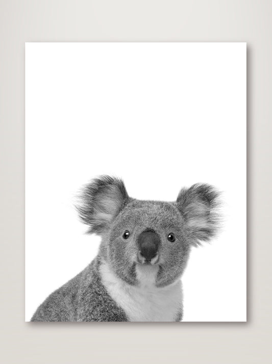 Koala Rigolo